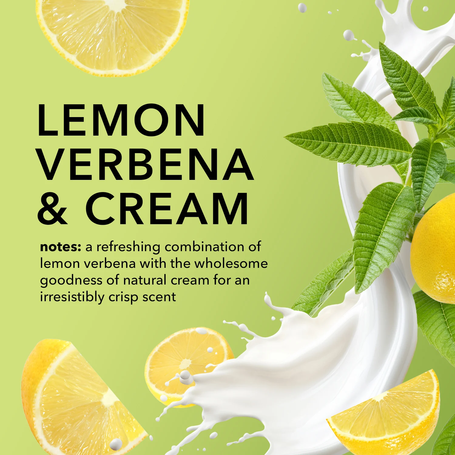 Lemon Verbena & Cream Goat Milk Body Lotion - Image 5