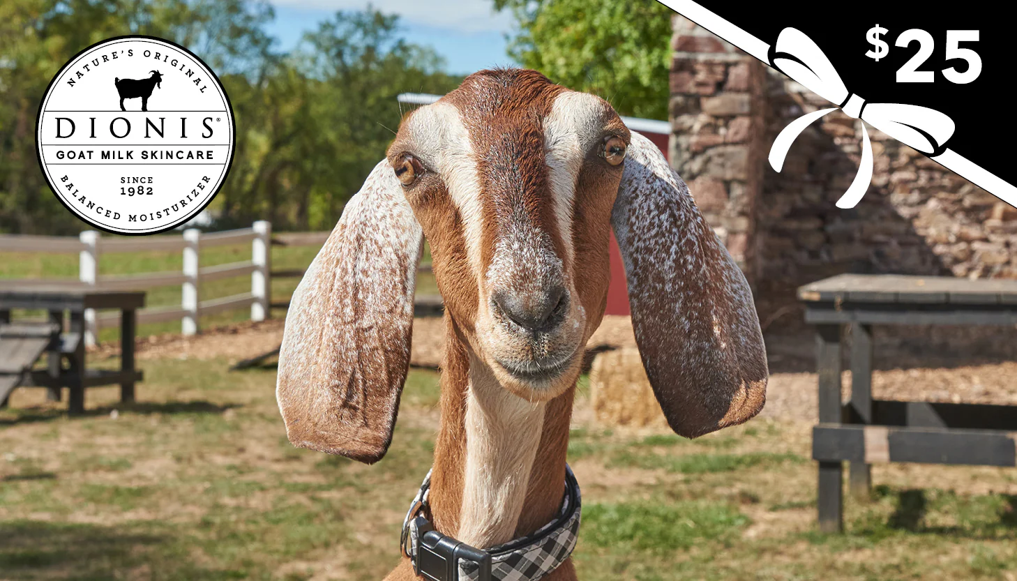Dionis Goat Milk Skincare E-Gift Card