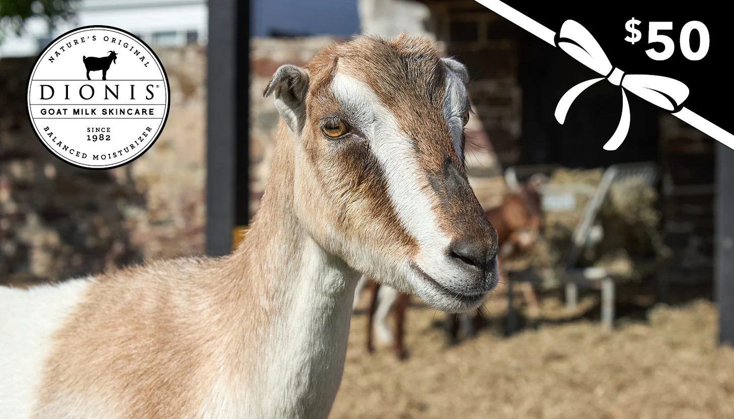 Dionis Goat Milk Skincare E-Gift Card - Image 2