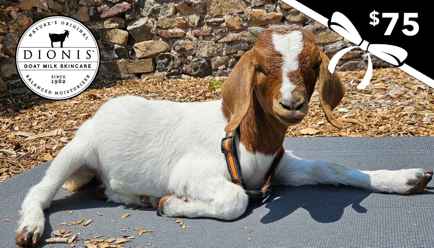 Dionis Goat Milk Skincare E-Gift Card - Image 3