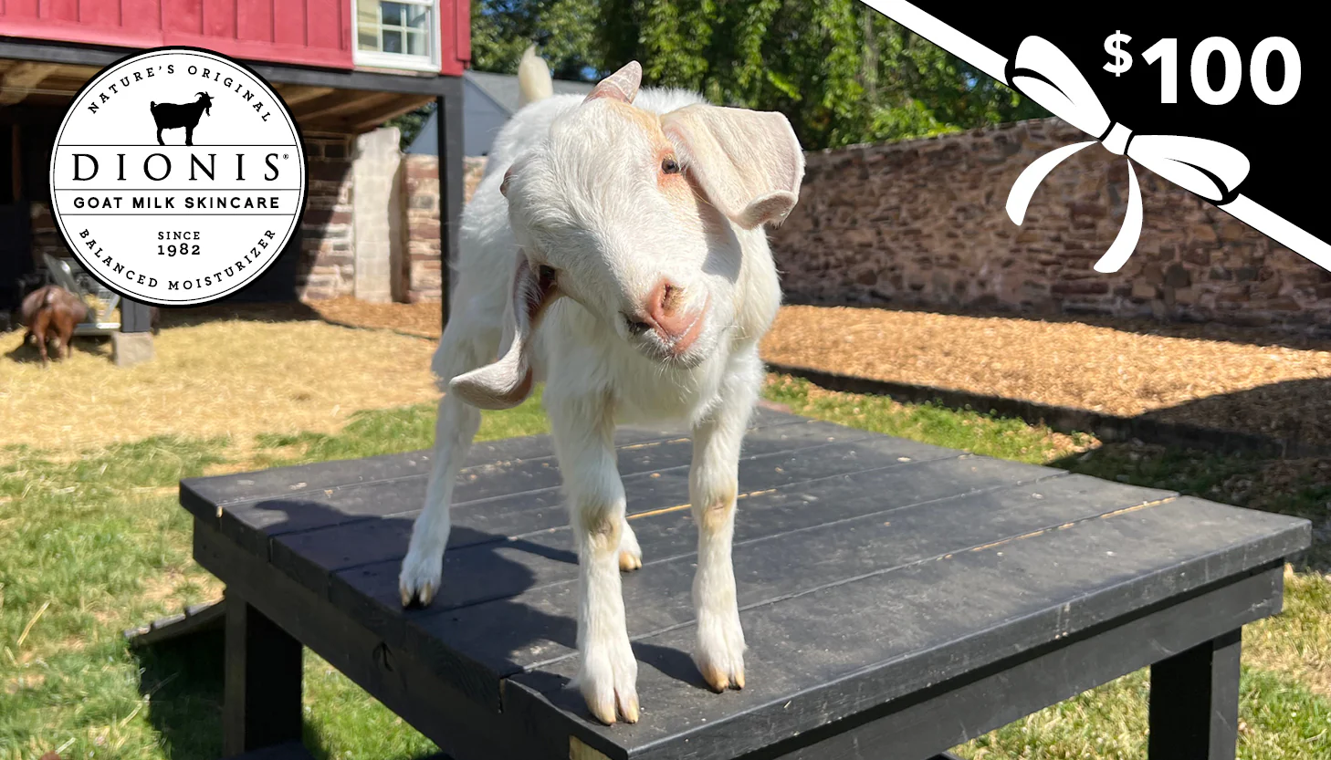 Dionis Goat Milk Skincare E-Gift Card - Image 4