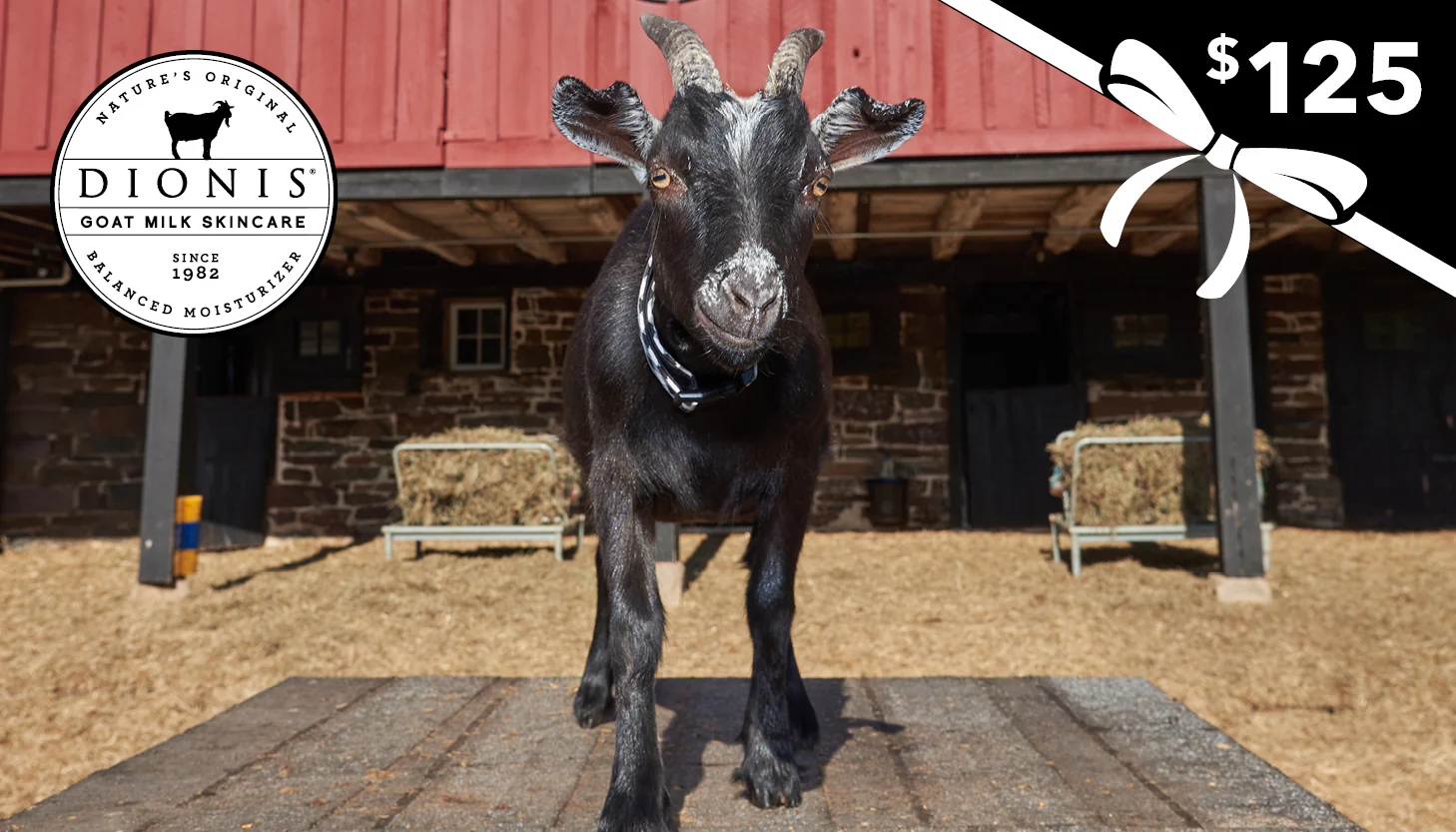 Dionis Goat Milk Skincare E-Gift Card - Image 5