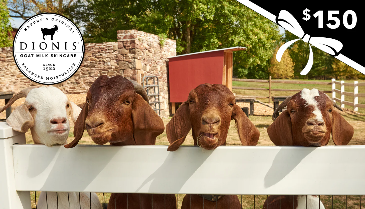 Dionis Goat Milk Skincare E-Gift Card - Image 6