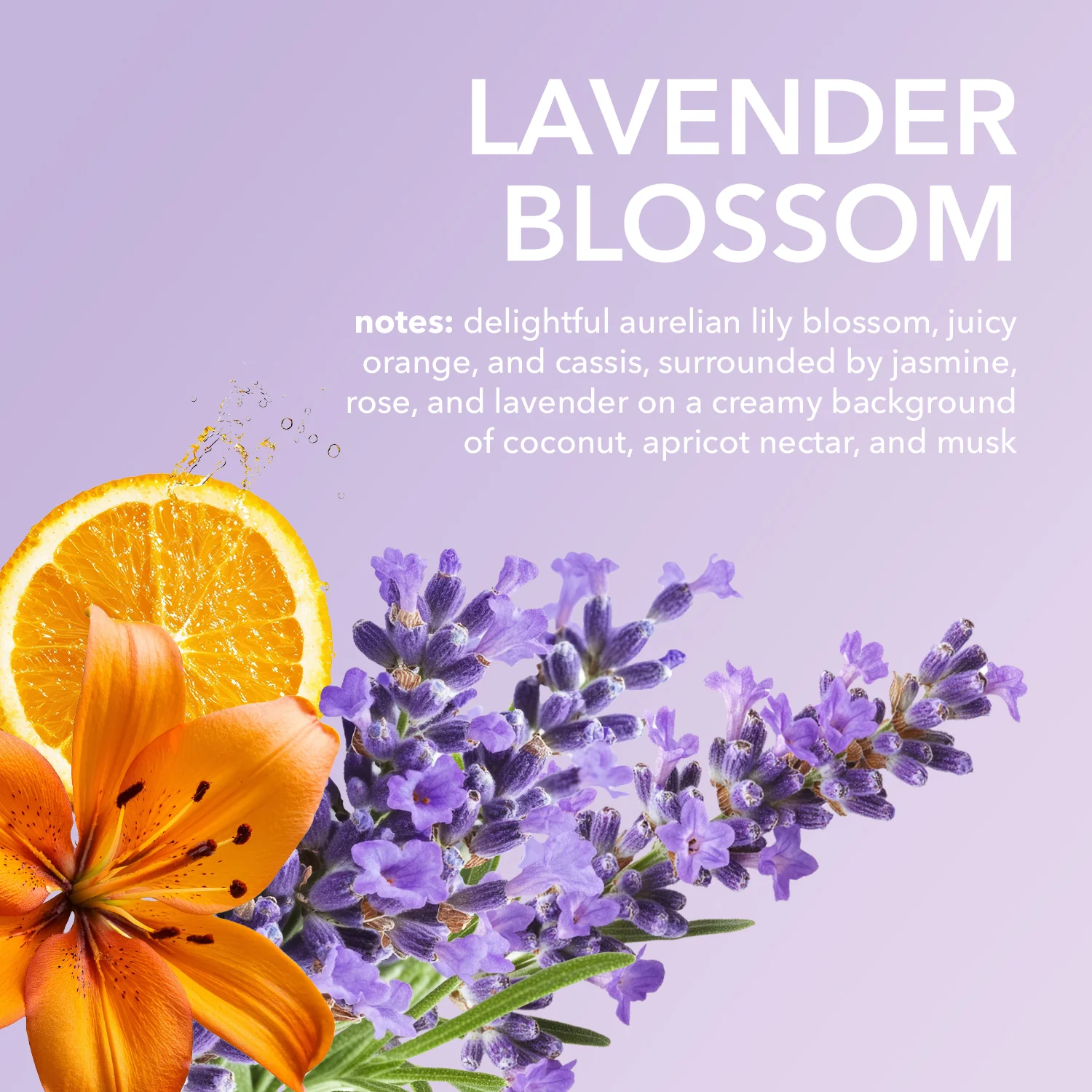 Lavender Blossom Hand & Body Goat Milk Cream - Image 4