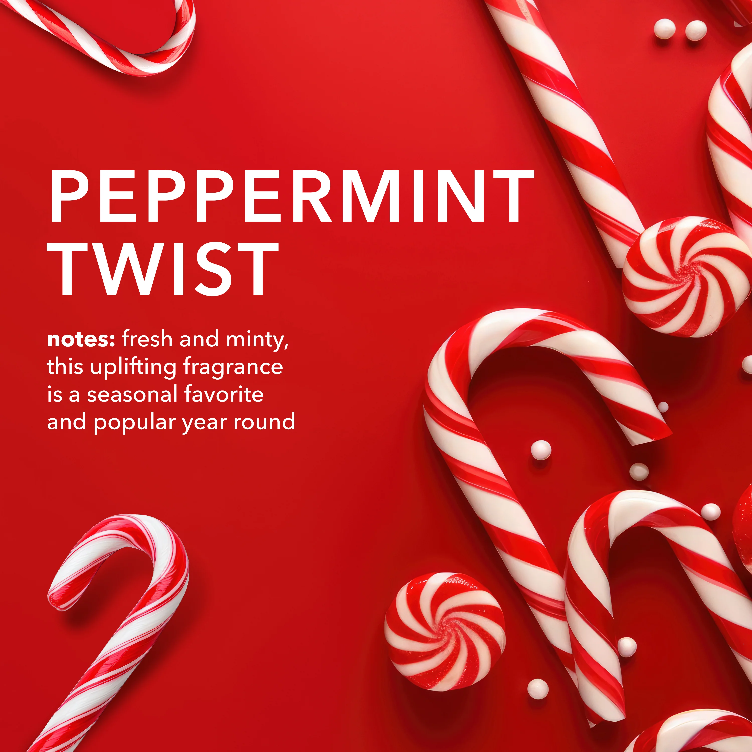 Peppermint Twist Goat Butter Lip Kit - Image 3