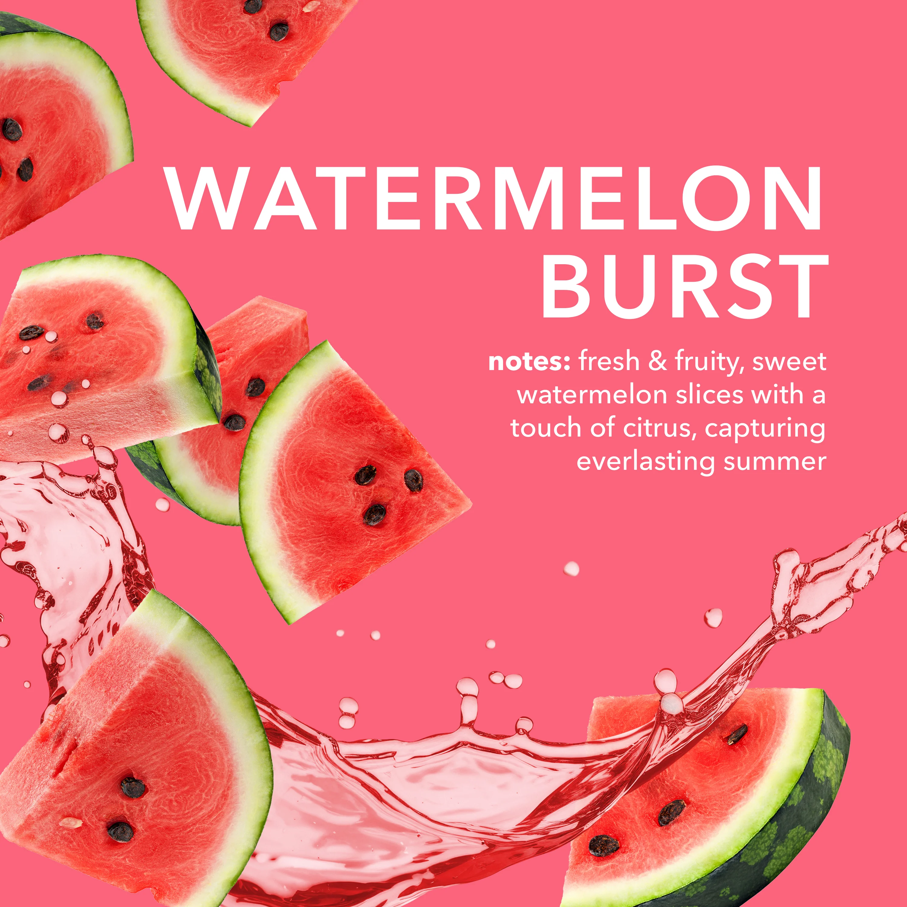 Watermelon Burst Goat Butter Lip Kit - Image 4